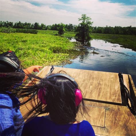 Swamp Tour of Bayou #neworleans | Swamp tours, Natural landmarks, New orleans