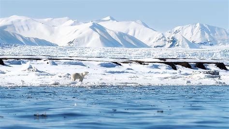 Sea Ice Worldatlas