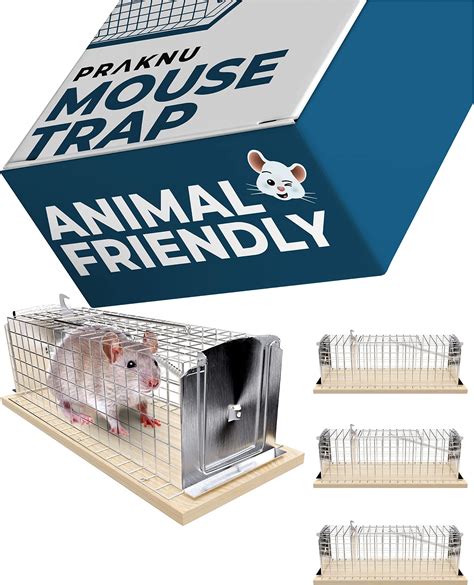 Live Catch Mouse Trap For Indoors Outdoors Pack Humane