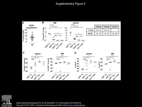 Human Cd8 Memory And Ebv Specific T Cells Show Low Alloreactivity In