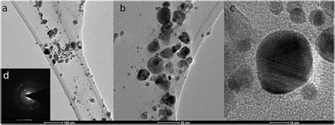 Frontiers Biogenic Nanosilver Bearing Antimicrobial And Antibiofilm