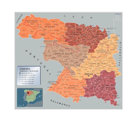 Mapa Zamora por municipios gigante Mapas España y el mundo gigantes