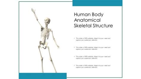 Human Body X Ray Dna Structure Powerpoint Templates Slides And Graphics