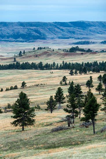 The Ultimate Guide To Badlands And Wind Cave National Parks