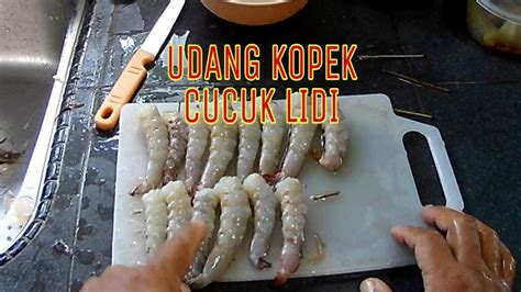 UDANG KOPEK MANCING KOLAM AIR MASIN YouTube