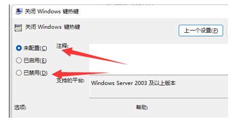 Win11切屏快捷键用不了怎么办？win11切屏快捷键用不了问题解析 纯净之家