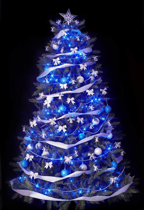 Sapin Bleu De Noel 2023 Dessin De Noel 2023