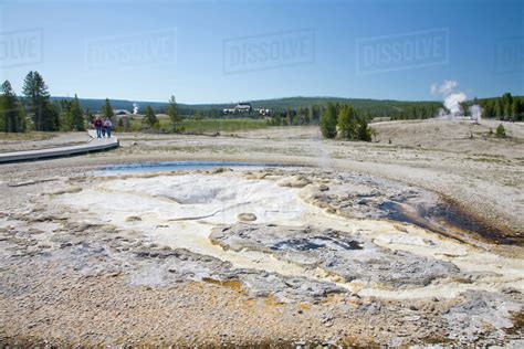 WY Yellowstone National Park Upper Geyser Basin Sawmill Geyser