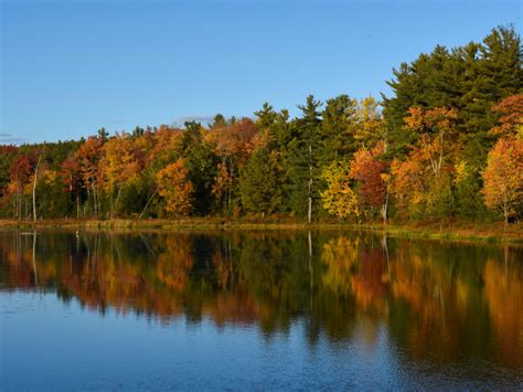 Traveler's Guide to the Best Fall Foliage Spots in 2023 - Triptuitive