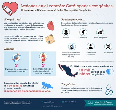 Lesiones En El Corazón Cardiopatías Congénitas Infografía Médica En