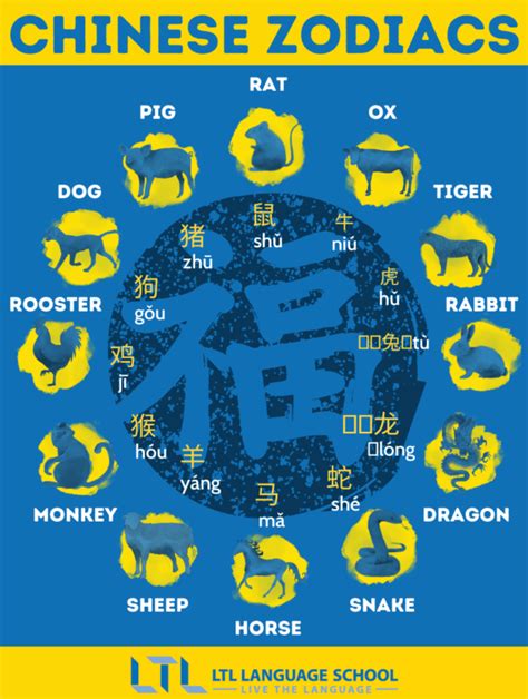 Chinese Zodiacs || Year of the Rat (A Complete Guide) | LTL Shanghai