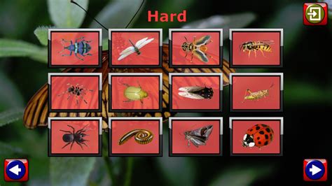 Kids Insect Jigsaw Puzzle And Memory Games Educational Fun For