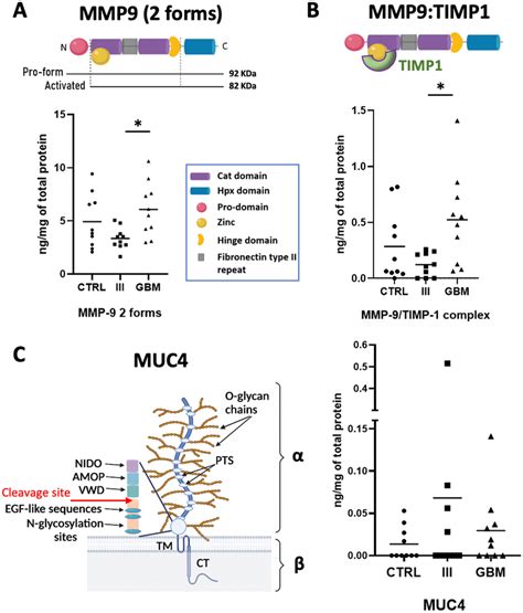 Mmp And Muc Protein Serum Levels Determined By Elisa Immunoassays