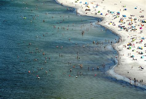 Bakterien Im Meer Wie Gef Hrlich Sind Vibrionen Wirklich