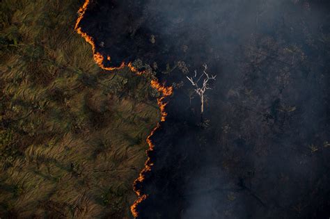 Para Dos Brasileiros Queimadas Na Amaz Nia Prejudicam Imagem Do