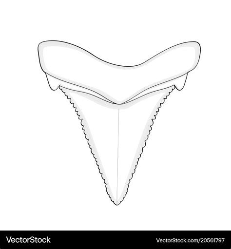 Shark Teeth Outline