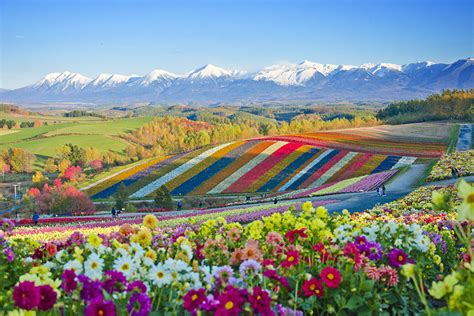 Hokkaido’s Best Parks and Nature Attractions - JAPAN AIRLINES (JAL)