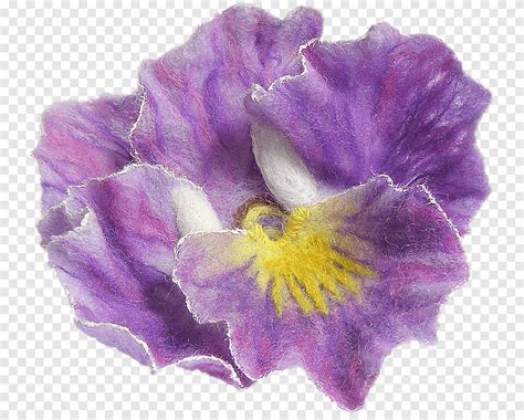 Pansy Violet Flower Petal Garden Roses Violet Purple Herbaceous