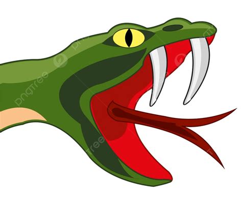 Open Mouthed Clipart Png Images Head Snake With Open Mouth And Stinger