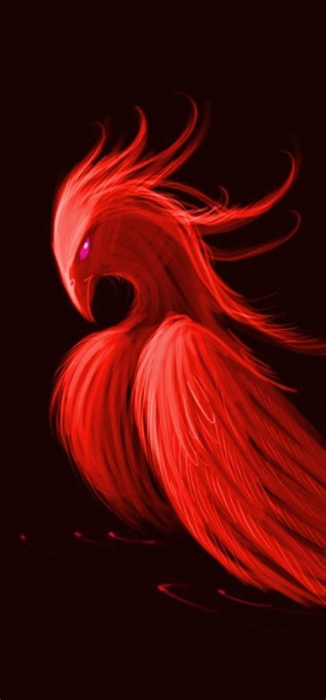 1242x2668 Phoenix Artworks Iphone XS MAX ,HD 4k Wallpapers,Images ...