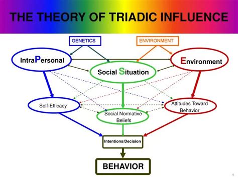 Ppt The Theory Of Triadic Influence Powerpoint Presentation Free