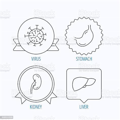 바이러스 위 신장 아이콘 건강관리와 의술에 대한 스톡 벡터 아트 및 기타 이미지 건강관리와 의술 곧은 궤양 Istock