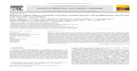 Heparan Sulfate Ndst Regulates Vascular Smooth Muscle Cell