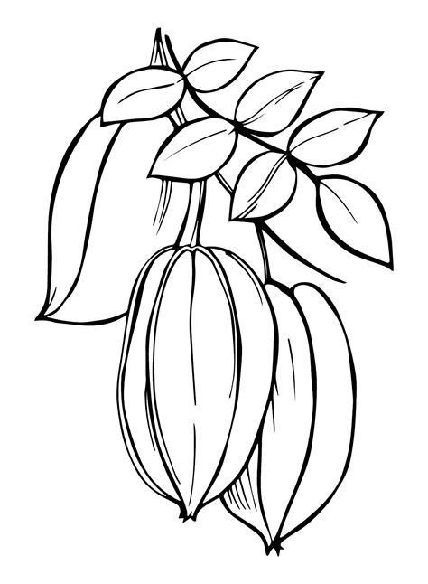 Star Fruit Coloring Pages Printable For Free Download