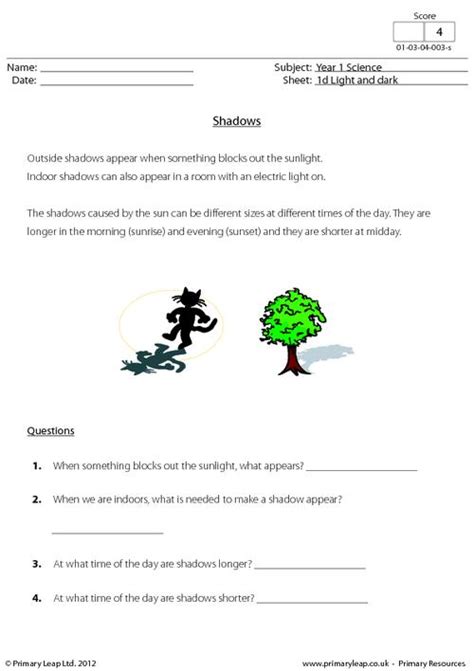 Light And Shadows Year Worksheets