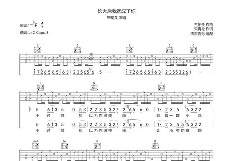 长大后我就成了你吉他谱宋祖英c调弹唱77专辑版 吉他世界