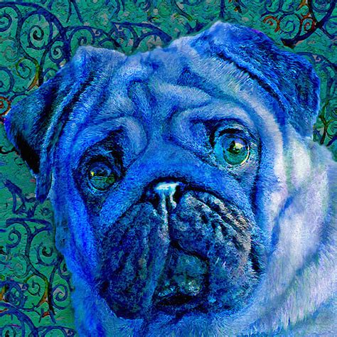 Blue Pug Digital Art by Jane Schnetlage - Fine Art America