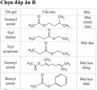 Isoamyl Axetat L G C Ng Th C H A H C C A Isoamyl Axetat Tr Ng