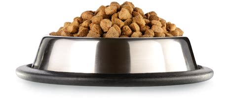 Dog Food Png Images Transparent Background Png Play