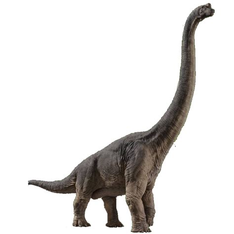 Brachiosaurus Jurassic Park Wiki Fandom Powered By Wikia