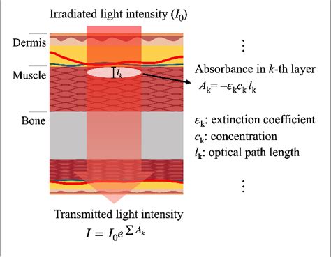 Figure 1 from Photoplethysmogram Analysis and Applications: An Integrative Review | Semantic Scholar