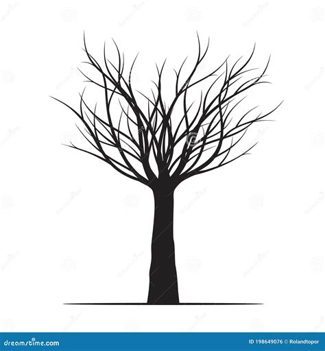 Winter Naked Tree Vector Outline Illustration Stock Vector