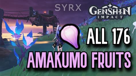 All Amakumo Fruits Locations Complete Guide Efficient Route