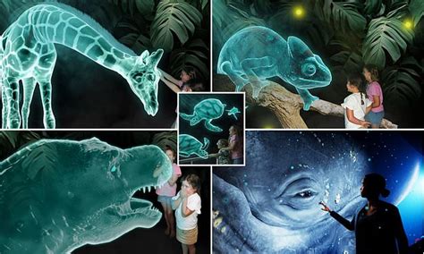 The future of entertainment? Inside the world's first 'Hologram Zoo' in Australia - where ...