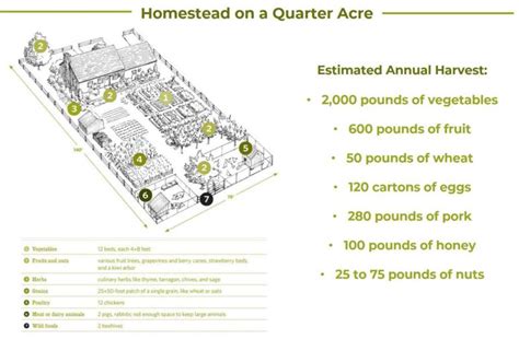 How To Grow Food In Your Backyard Smart Money Mamas