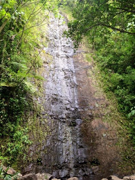 Hiking At Manoa Falls, Honolulu, Hawaii - The Walking Mermaid