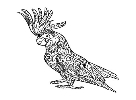 Cockatiel Color Page - Free Printable Coloring Pages