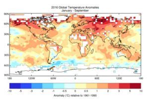 Allarme Onu Il Sar Lanno Pi Caldo Della Storia