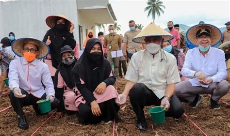 Gubernur Mahyeldi Ungkap Persen Dari Apbd Sumbar Untuk Sektor Pertanian