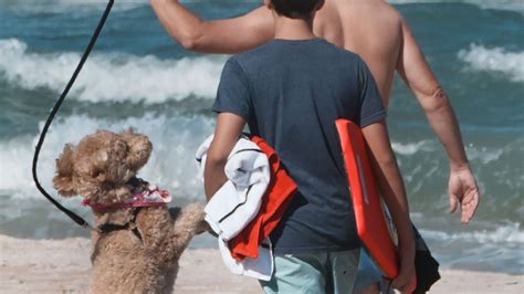 Volusia Council to consider adding dog-friendly space in Daytona Beach