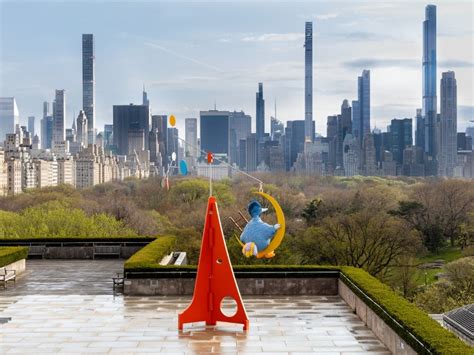 Met Museum's New Roof Sculpture Features Big Bird On A Swing | Upper ...