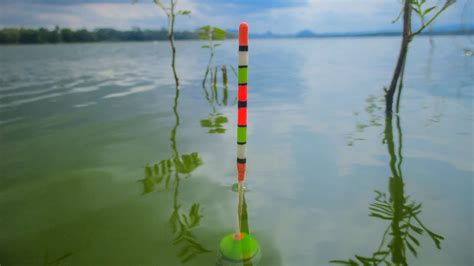 Mari Kita Test Mancing Ikan Nila Di Spot Kenangan Seperti Mantan