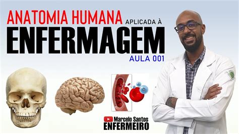 Anatomia Humana Aplicada À Enfermagem Aula 001 Youtube