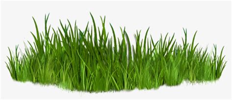 Grass Clipart, Vector Grass, Gardening Svg Clipart, Grass Borders,Personal Use,Grass Digital ...