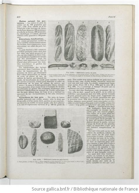 Larousse ménager dictionnaire illustré de la vie domestique