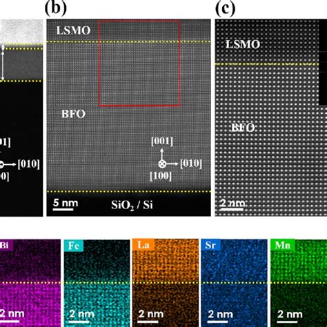 Structural Characterization Of The Freestanding Lsmo Bfo Membranes